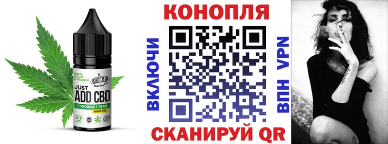 KRAKEN как войти  Боготол  Cannafood конопля 