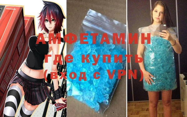 стафф Богданович
