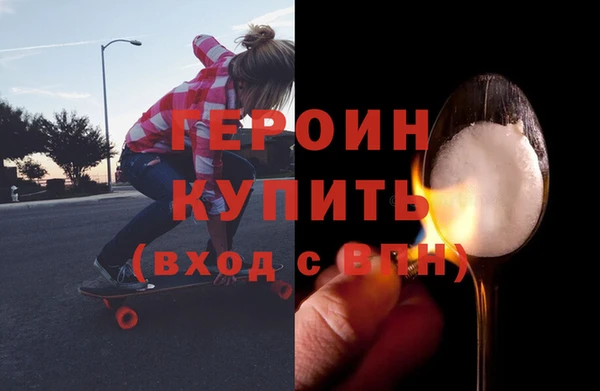 гидра Богородицк