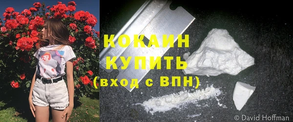 ешки Мегион
