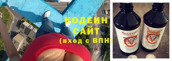 гидра Богородицк